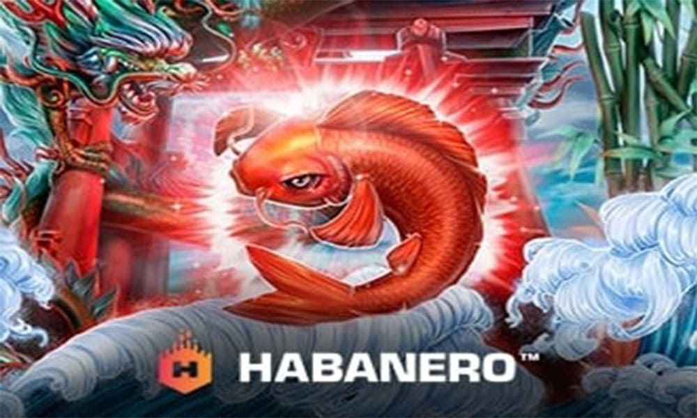 Mengenali Lebih Dekat Judi Slot Habanero